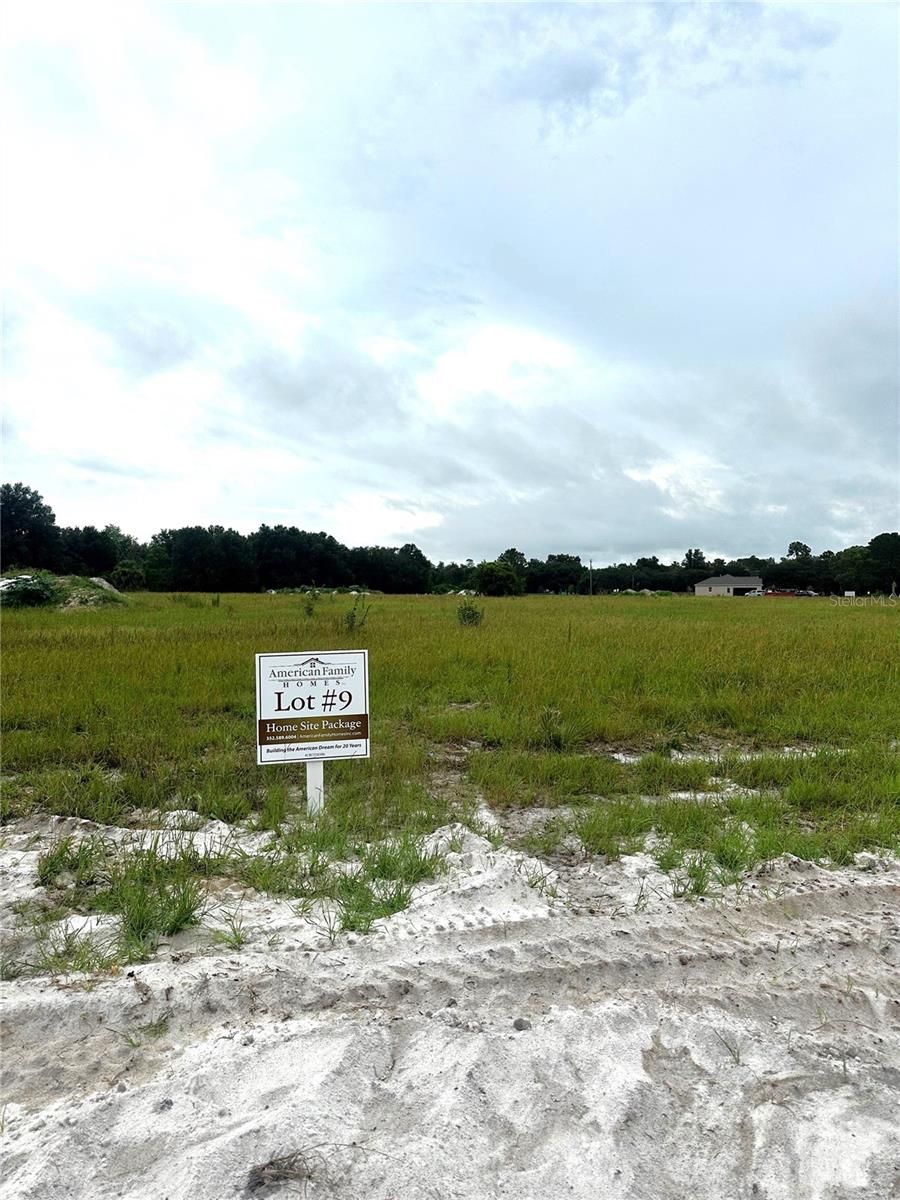 38521 WOODED MEADOW DRIVE — photo 1