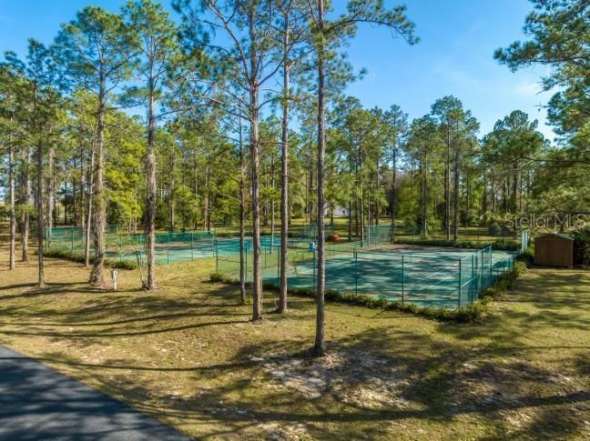 3117 BRIGHT LAKE CIRCLE — photo 21