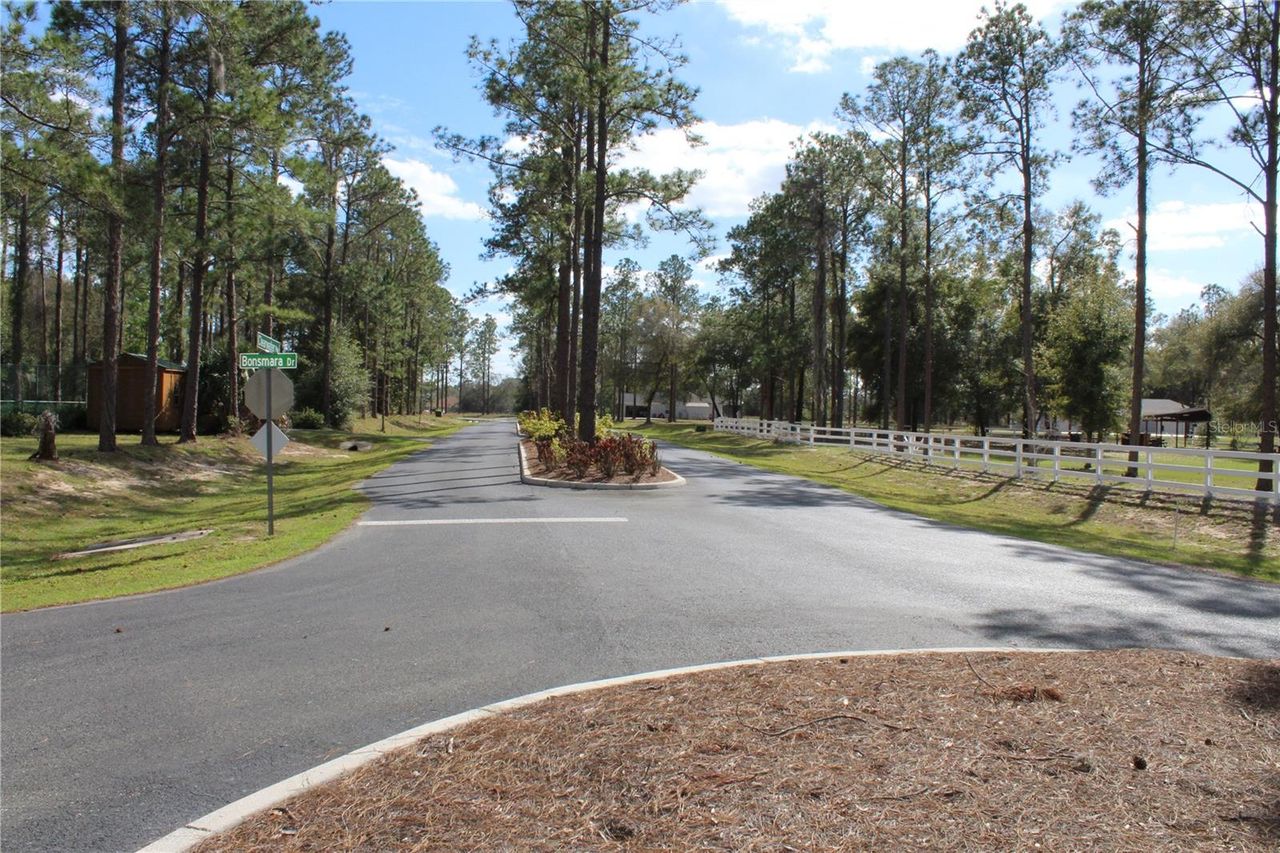 3117 BRIGHT LAKE CIRCLE — photo 23