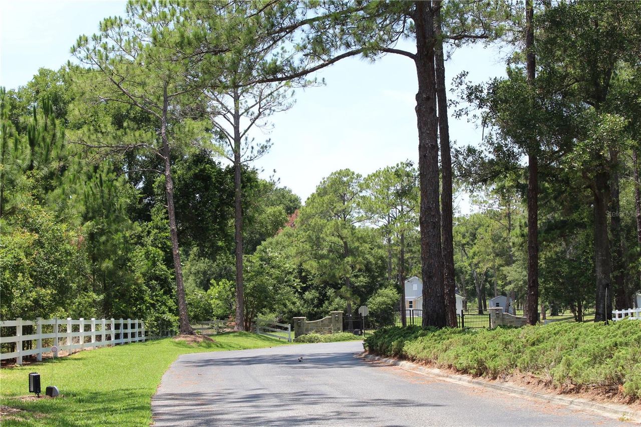 3117 BRIGHT LAKE CIRCLE — photo 4