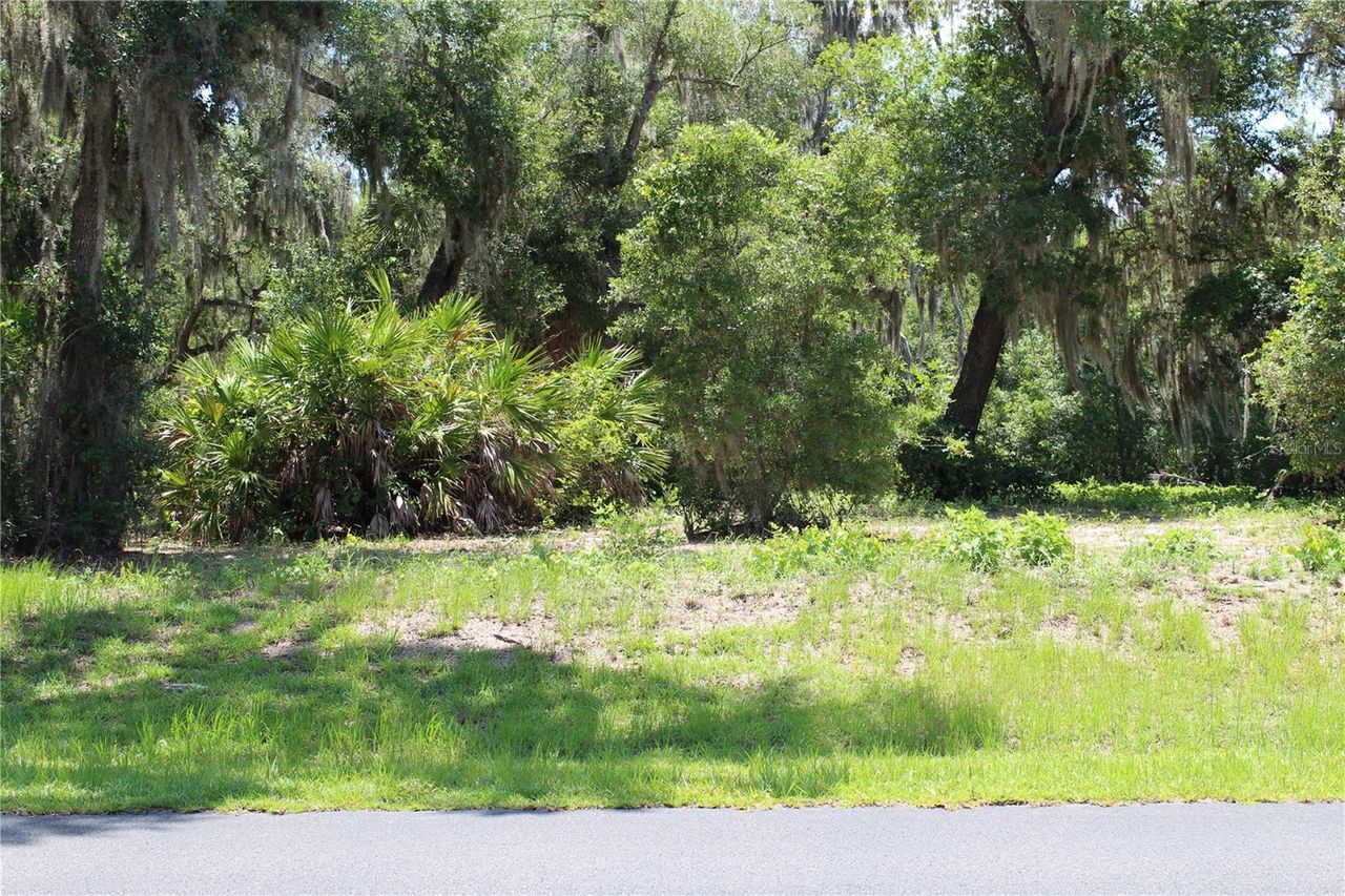 3117 BRIGHT LAKE CIRCLE — photo 9