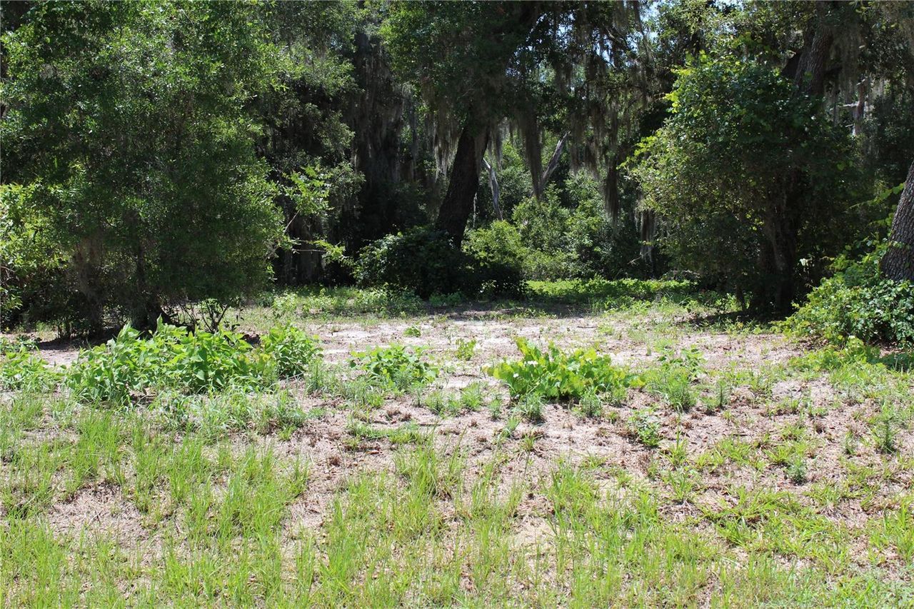 3117 BRIGHT LAKE CIRCLE — photo 10
