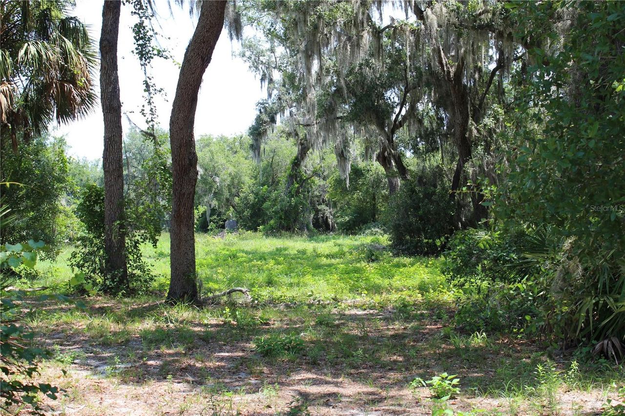 3117 BRIGHT LAKE CIRCLE — photo 11