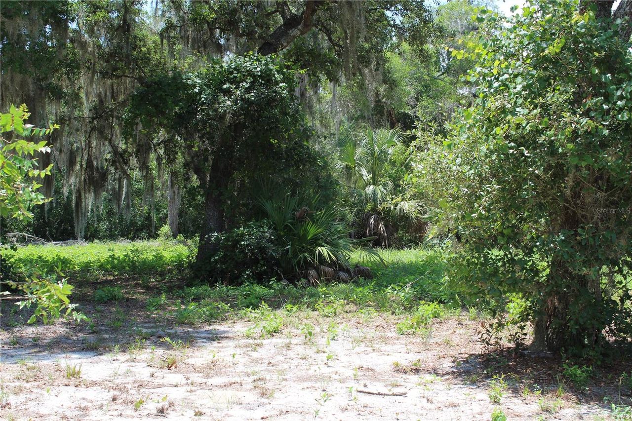 3117 BRIGHT LAKE CIRCLE — photo 15