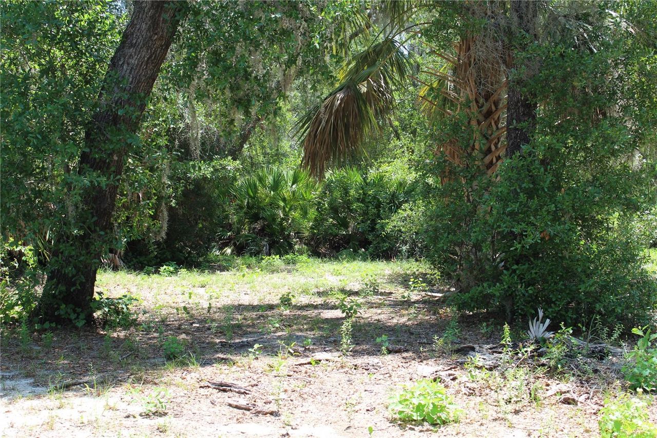 3117 BRIGHT LAKE CIRCLE — photo 17