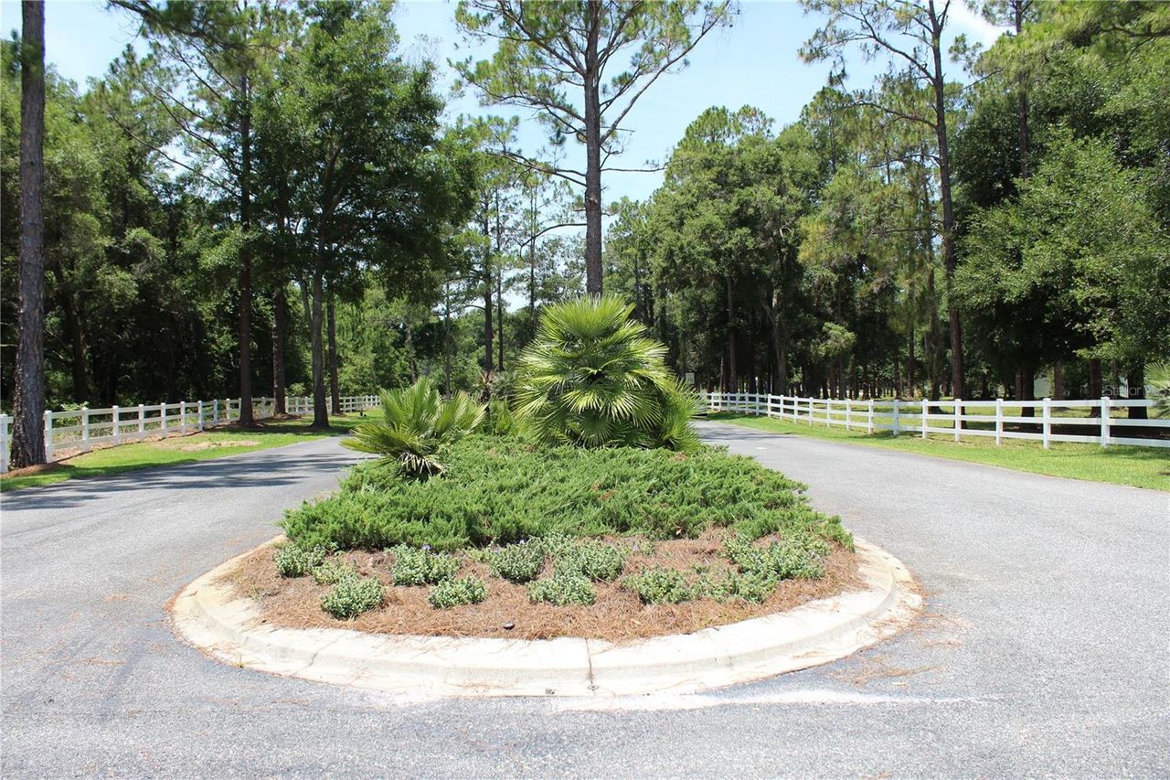 3117 BRIGHT LAKE CIRCLE — photo 18