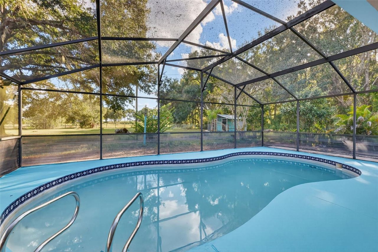 3536 EAGLES NEST ROAD — photo 13