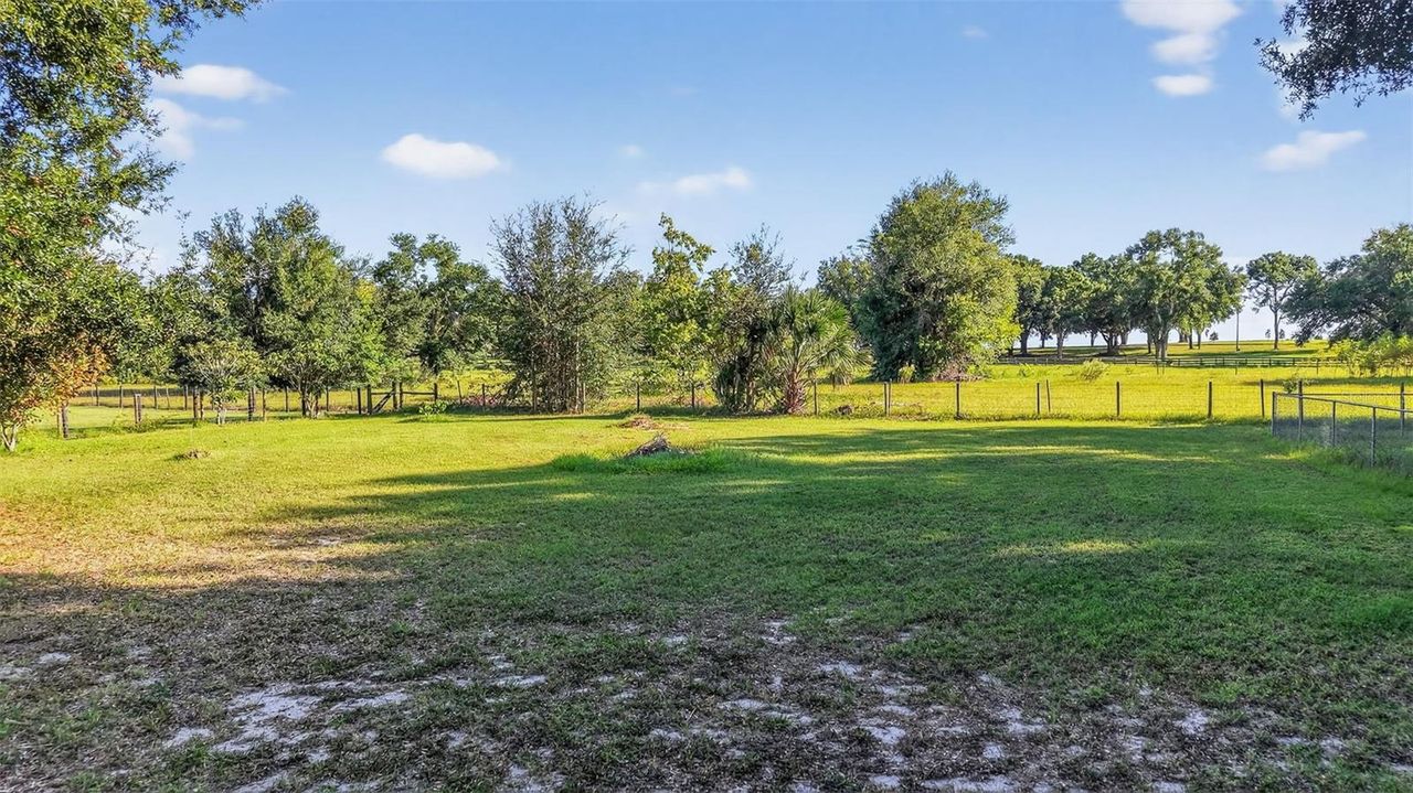 3536 EAGLES NEST ROAD — photo 45