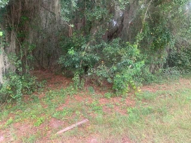 Address withheld by seller — photo 2