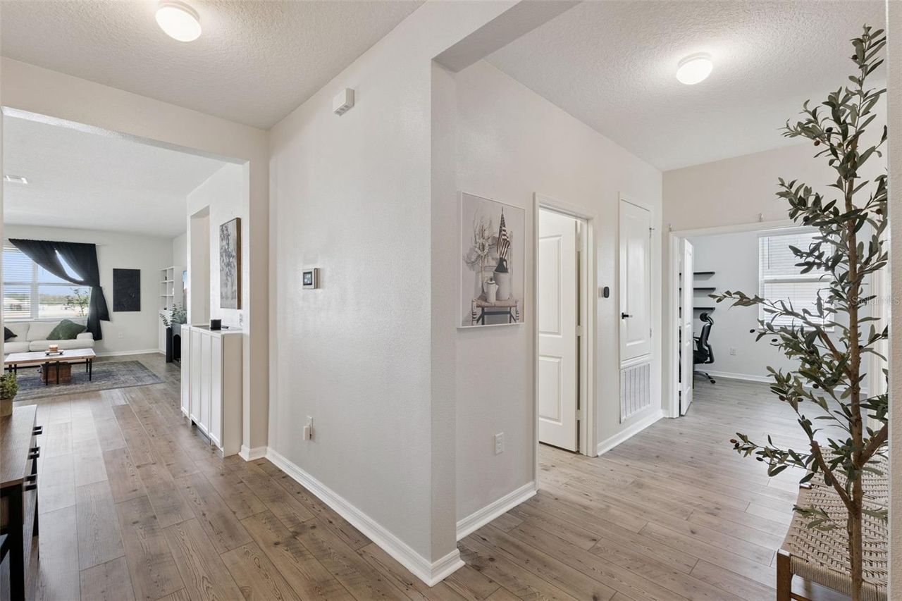 2429 BEGONIA STREET — photo 19