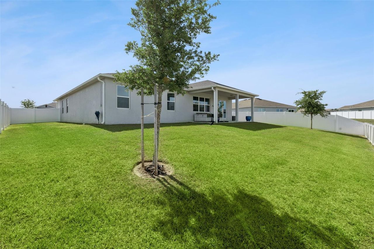 2429 BEGONIA STREET — photo 32