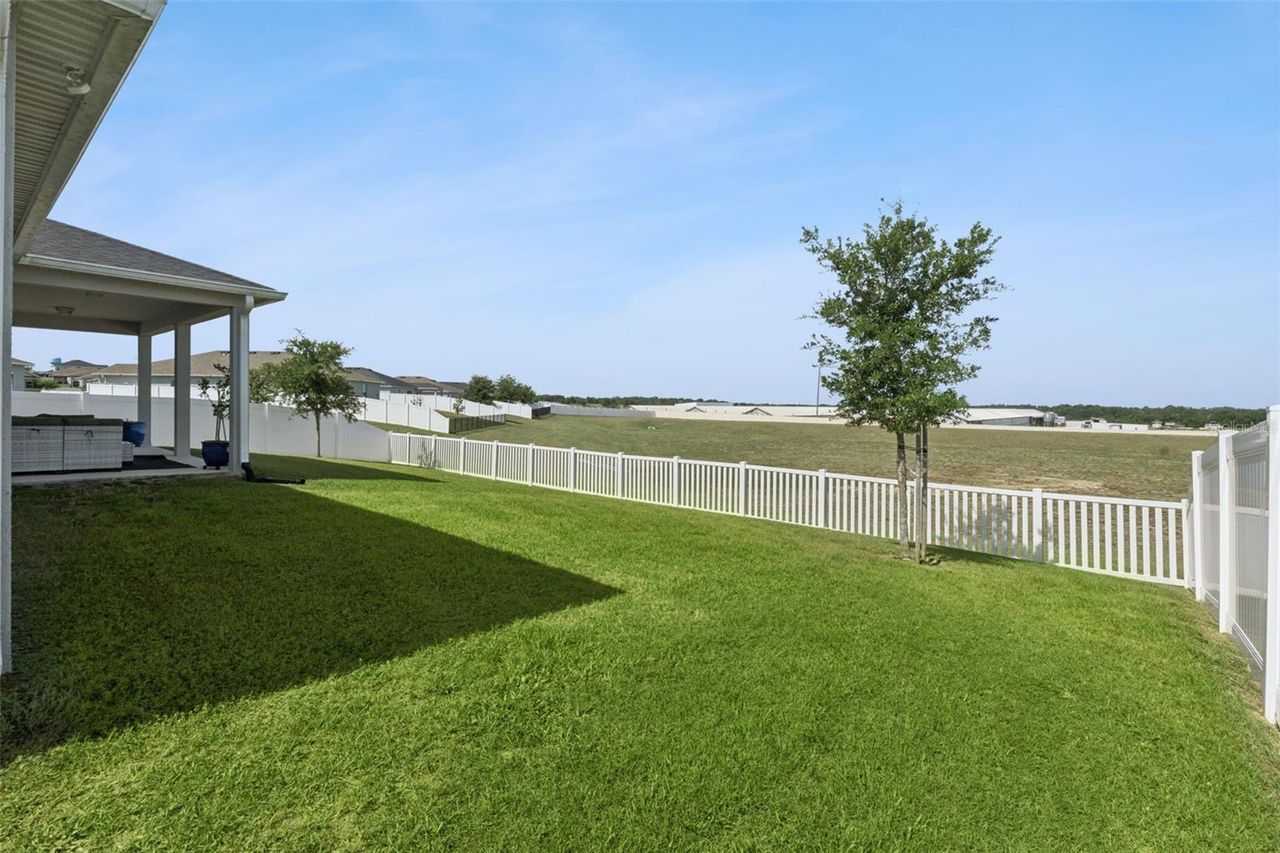 2429 BEGONIA STREET — photo 34