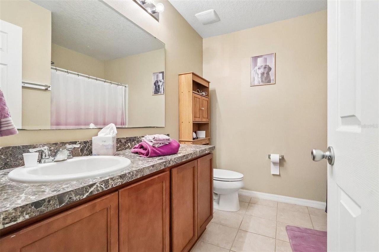 1585 AUBURN HILLS COURT — photo 11