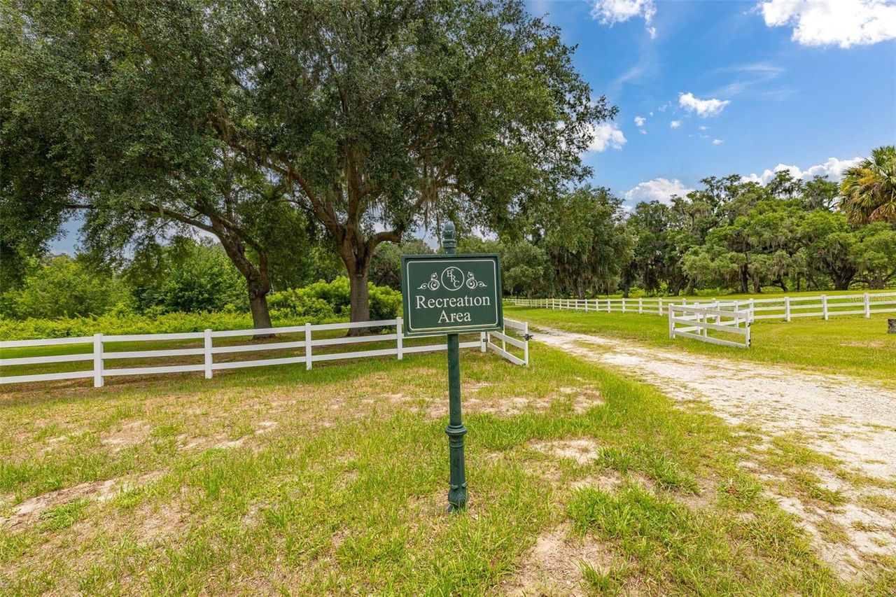 27037 GRAND OAK LANE — photo 9
