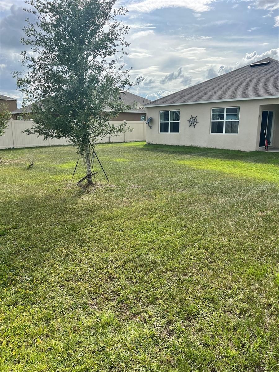 5240 GREENHEART AVENUE — photo 20