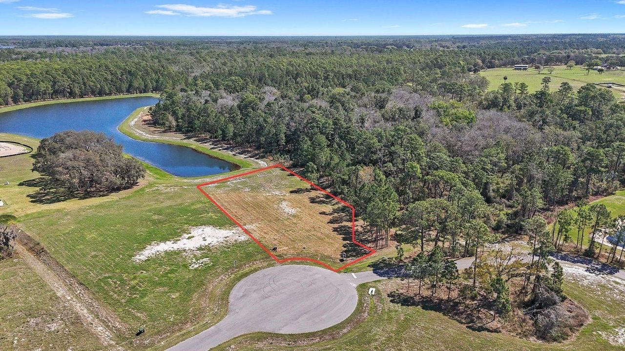 20280 SHORELINE RANCH LANE — photo 5