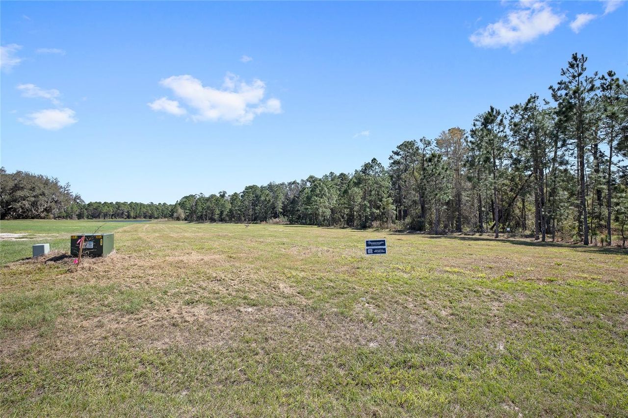 20280 SHORELINE RANCH LANE — photo 6