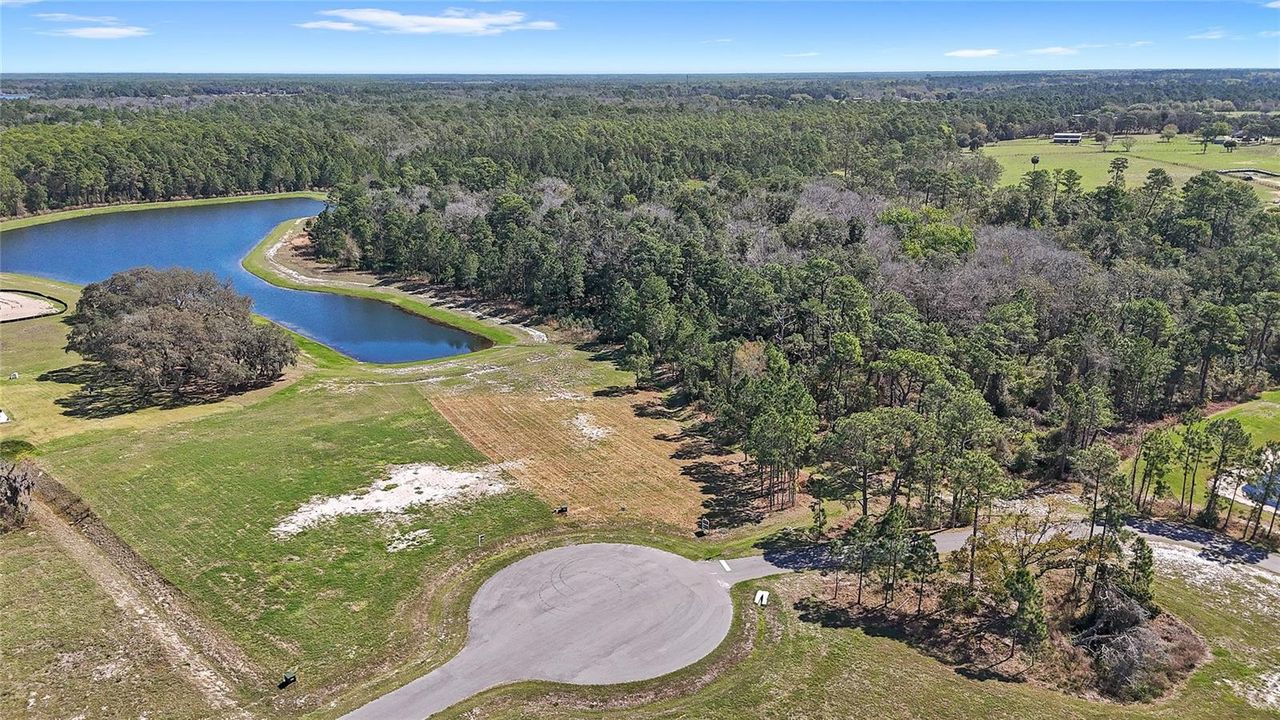20280 SHORELINE RANCH LANE — photo 10