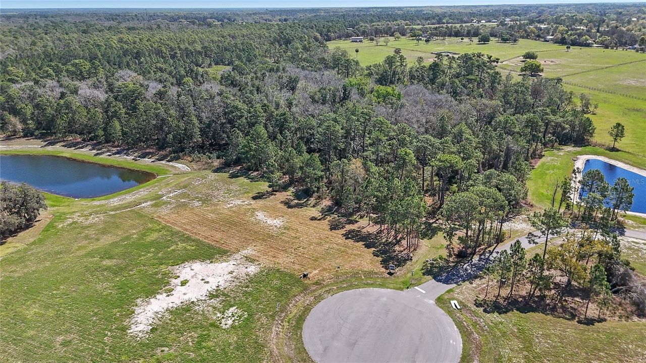 20280 SHORELINE RANCH LANE — photo 13