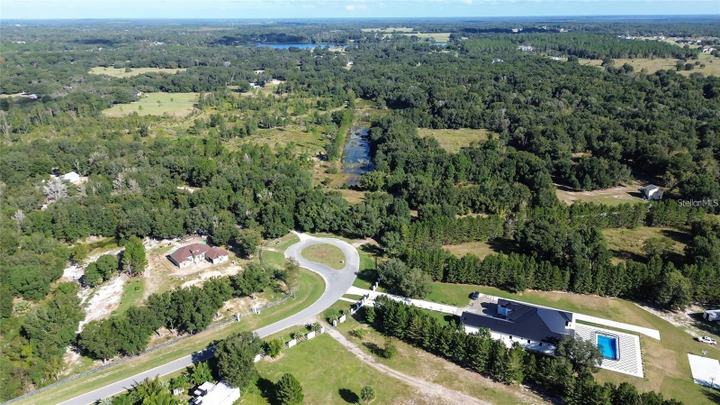 TREE FROG LOT 6 LANE, EUSTIS, FL