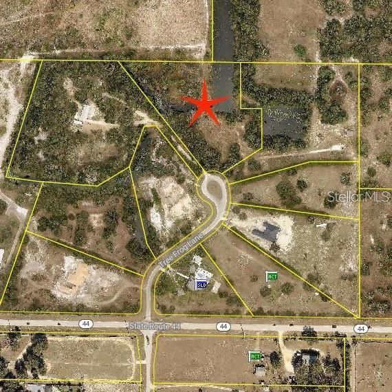 TREE FROG LOT 6 LANE — photo 3
