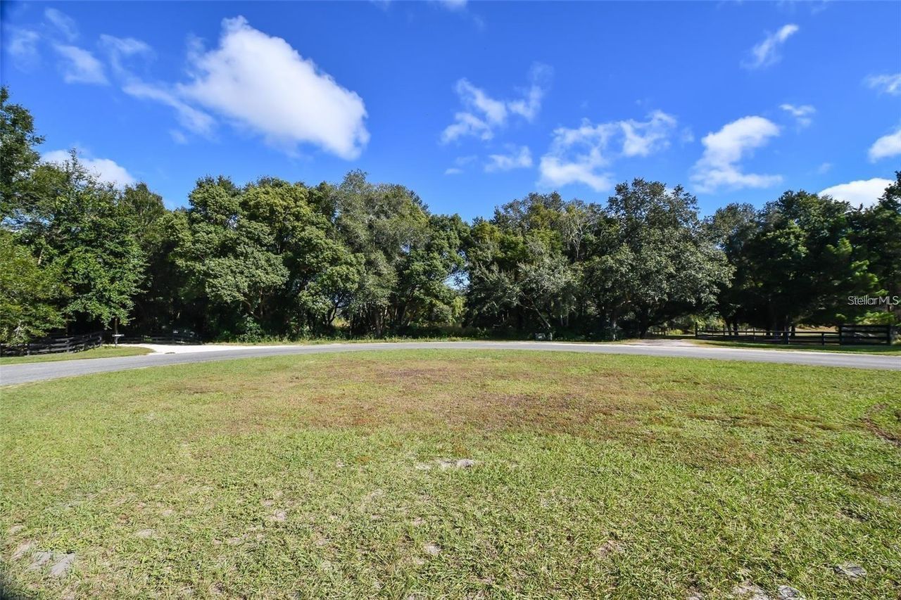 TREE FROG LOT 6 LANE — photo 5