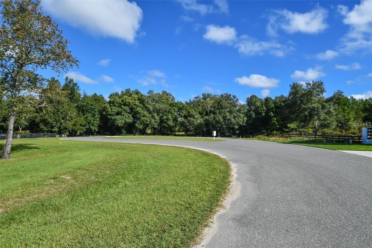 TREE FROG LOT 6 LANE — photo 16