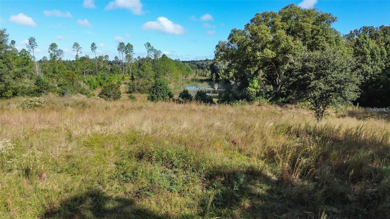 TREE FROG LOT 6 LANE — photo 17