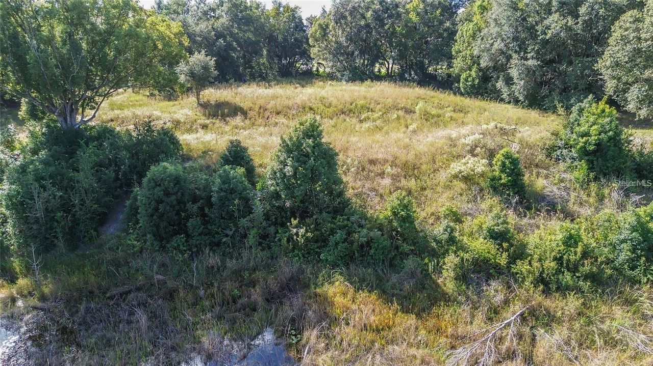 TREE FROG LOT 6 LANE — photo 18