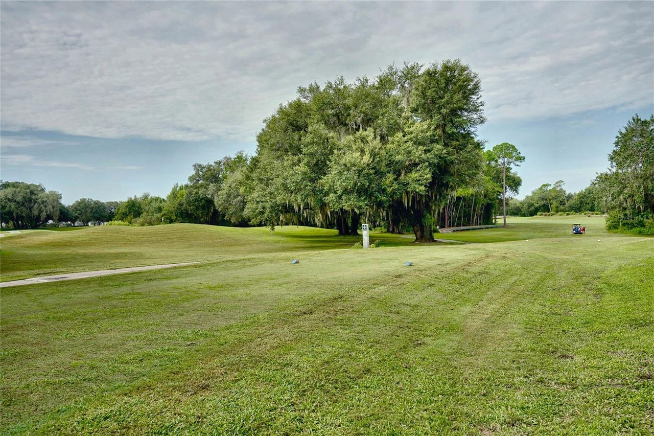 25735 GLEN EAGLE DRIVE — photo 28