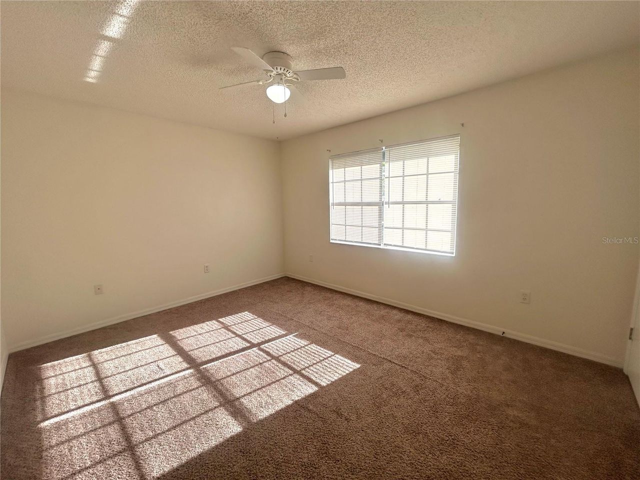 32813 RADIO ROAD — photo 5