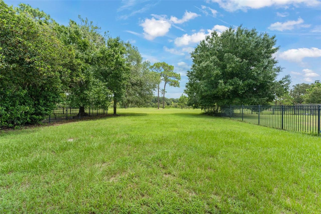 33411 TERRAGONA DRIVE — photo 48