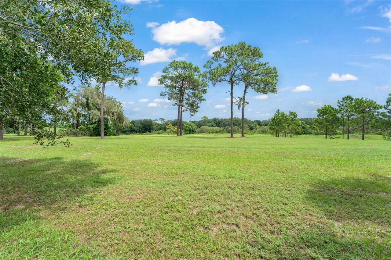 33411 TERRAGONA DRIVE — photo 49