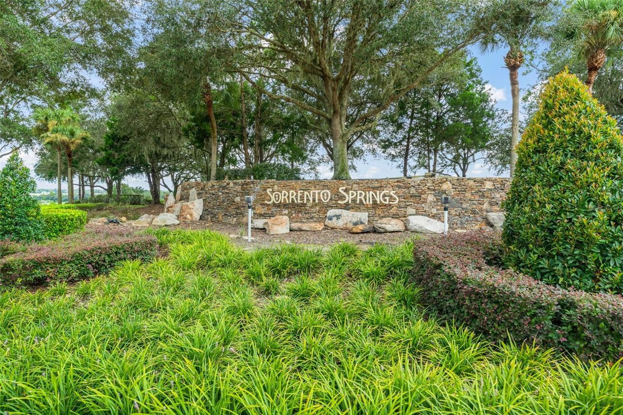 33411 TERRAGONA DRIVE — photo 52