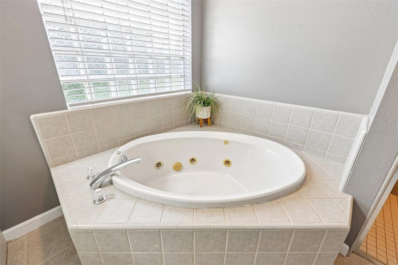 22301 CORONADO SOMERSET DRIVE — photo 41
