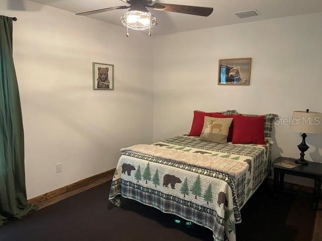31026 NOCATEE TRAIL — photo 23