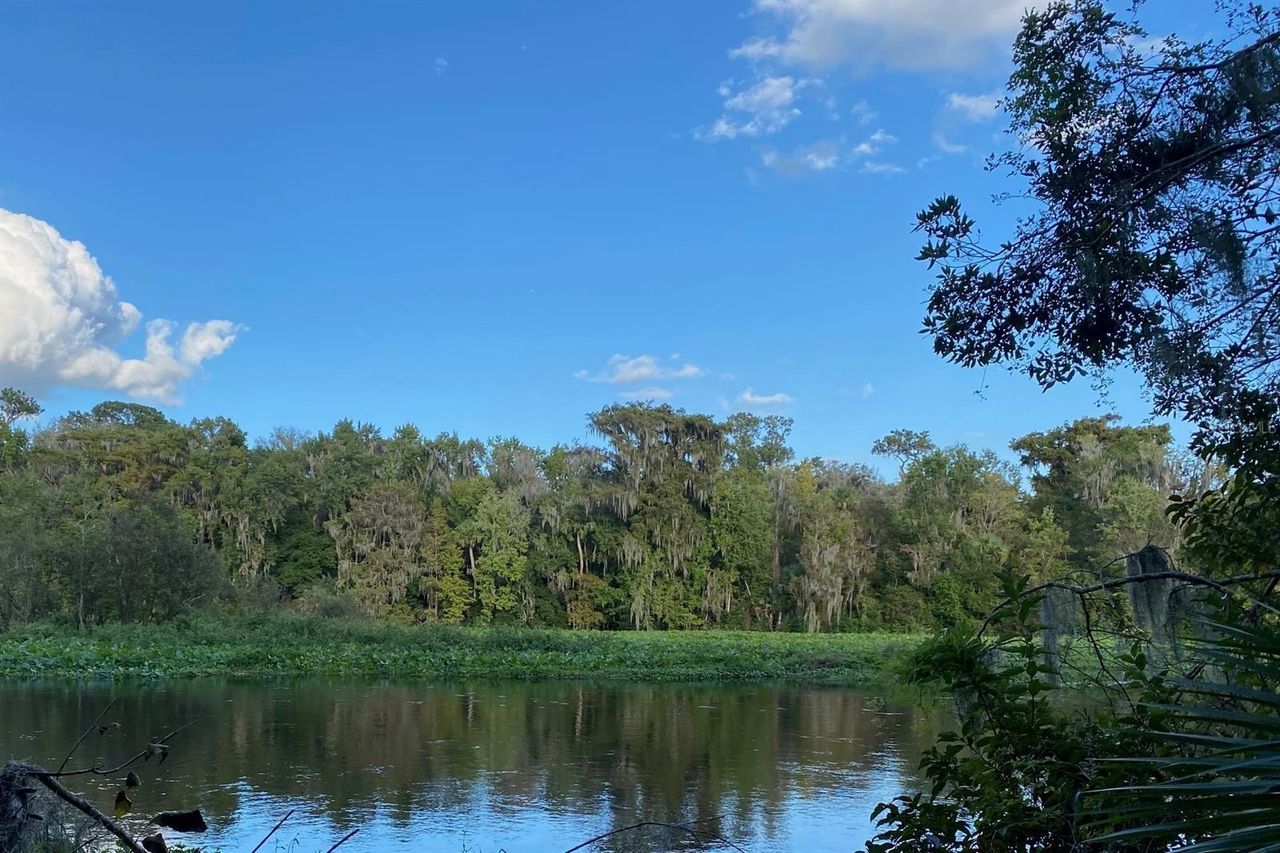 31026 NOCATEE TRAIL — photo 11