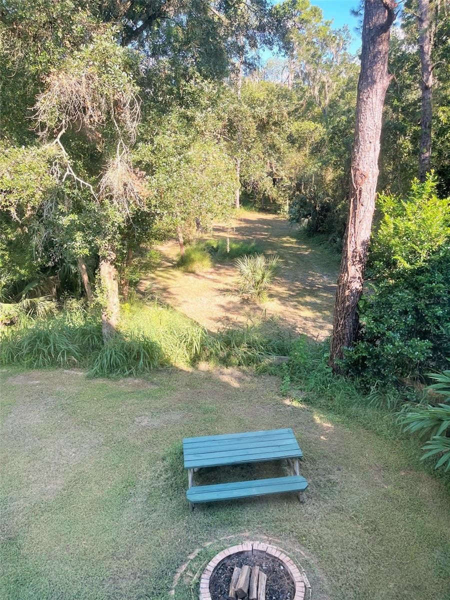 31026 NOCATEE TRAIL — photo 10