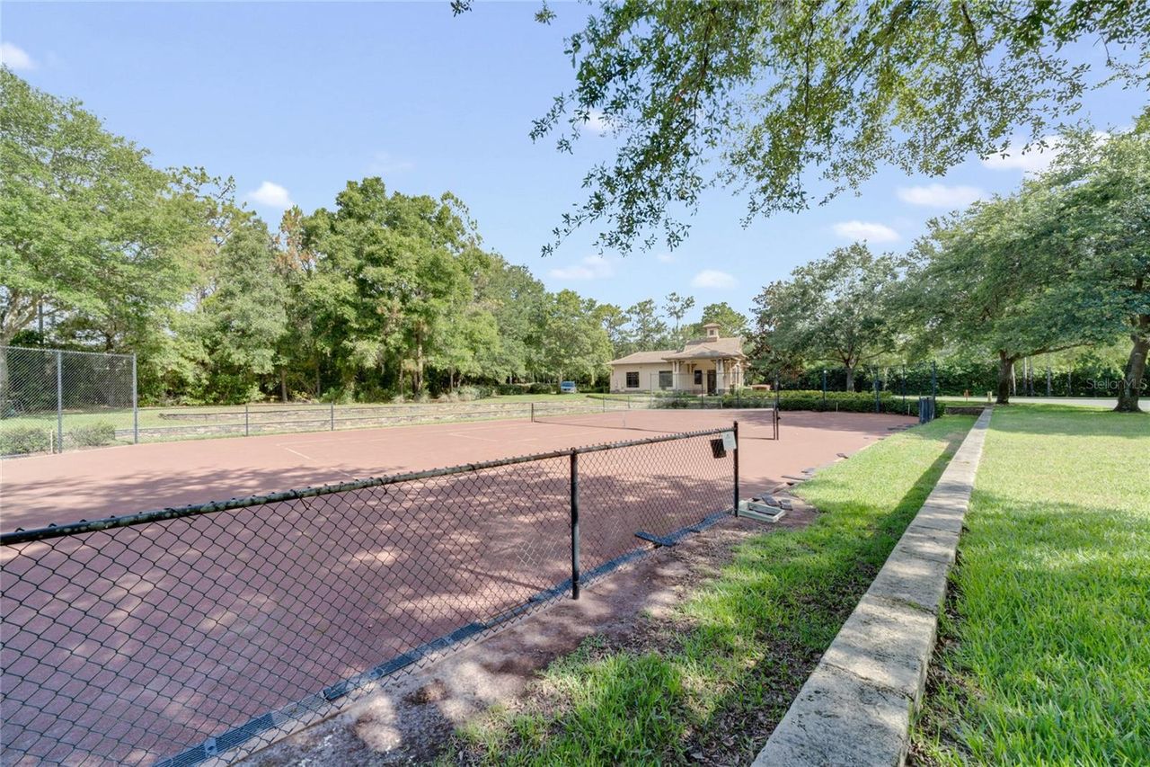 25535 HAWKS RUN LANE — photo 72