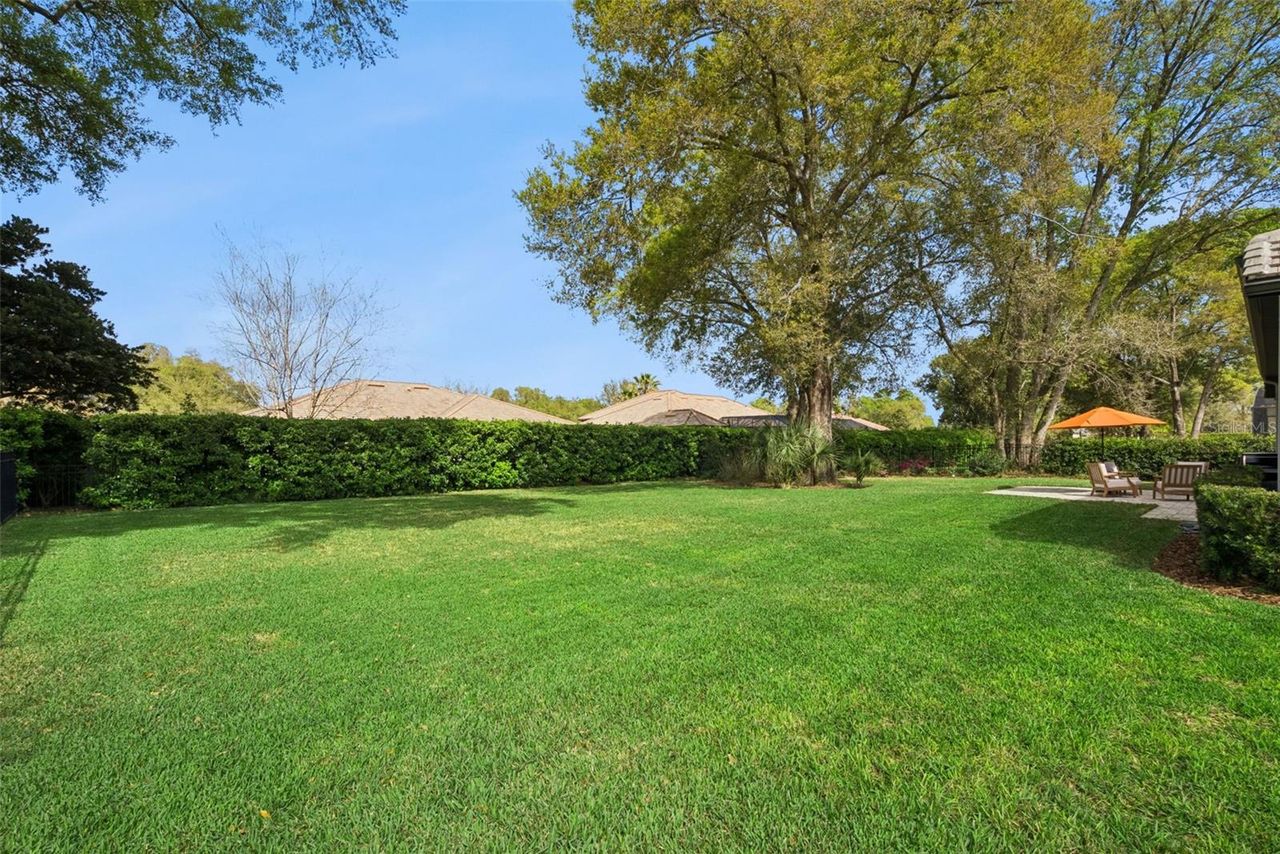 25855 CROSSINGS BLUFF LANE — photo 43