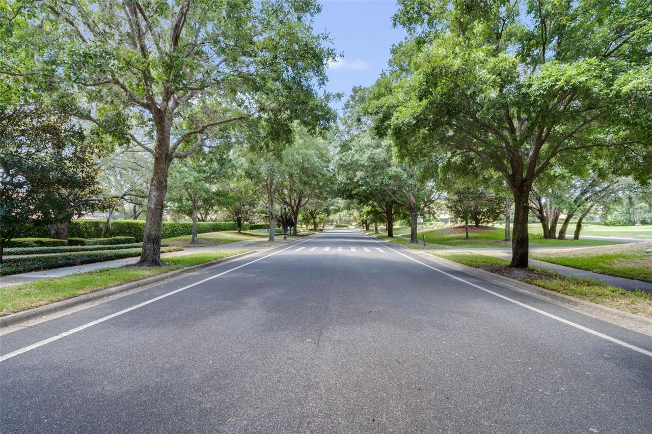 25855 CROSSINGS BLUFF LANE — photo 48