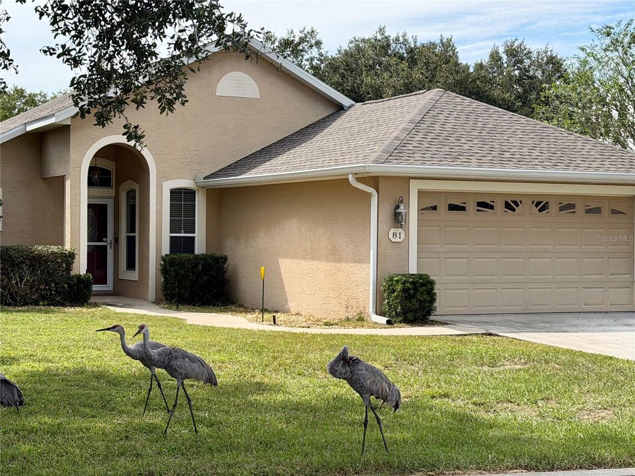 81 GOLFVIEW CIRCLE — photo 50