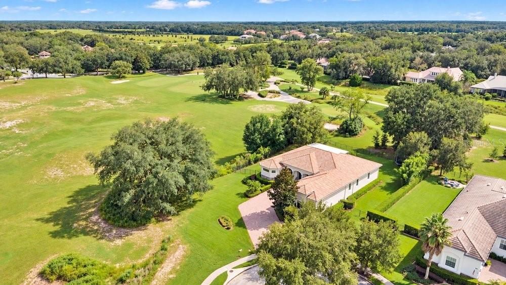 32809 BERWICK GLEN COURT — photo 37