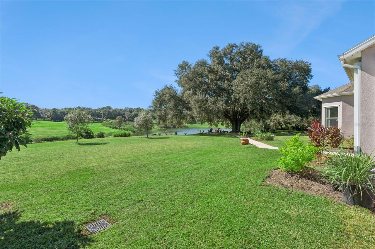 36819 WOLF COURT — photo 38