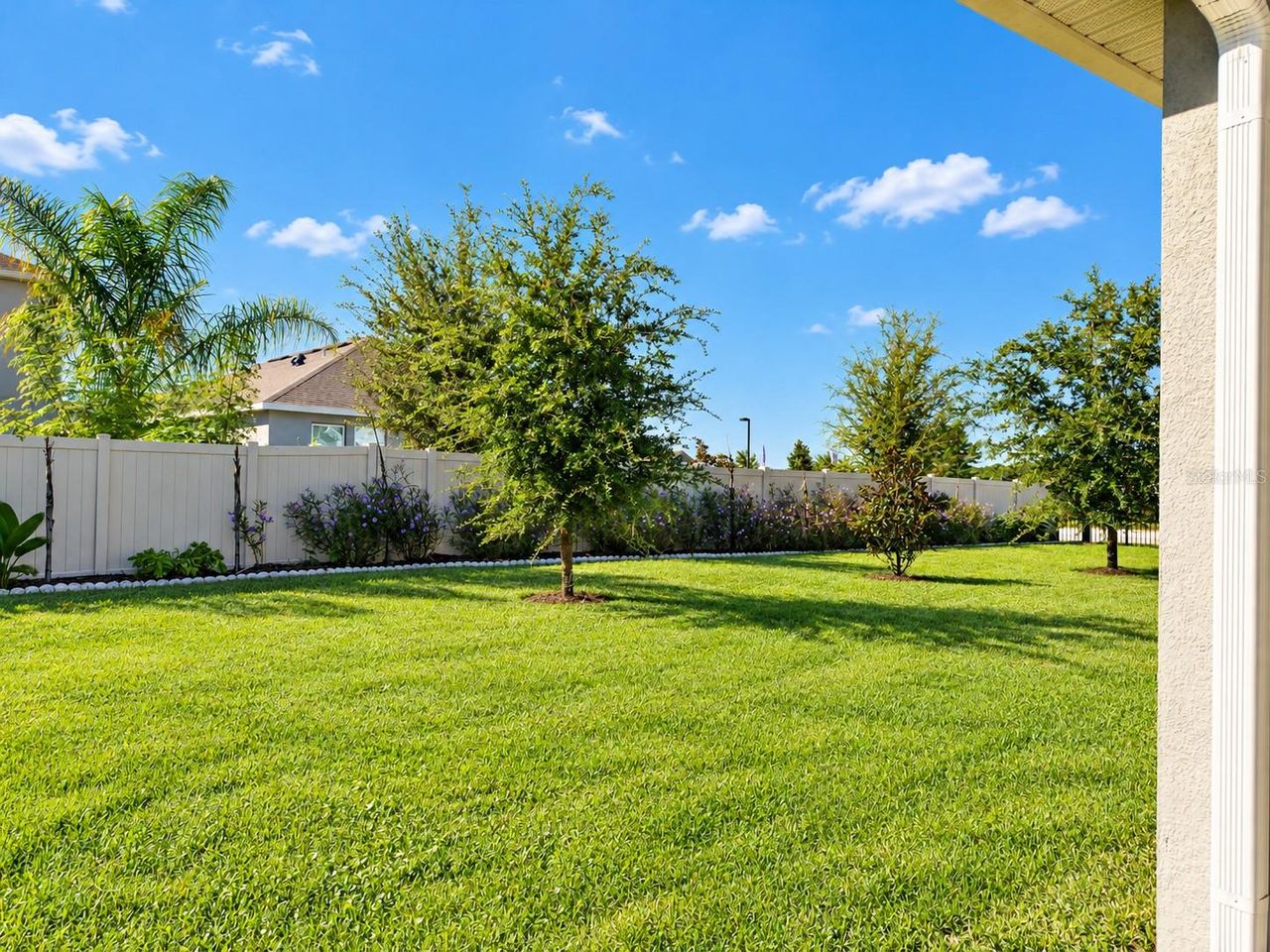 715 BLUE CITRUS LANE — photo 37