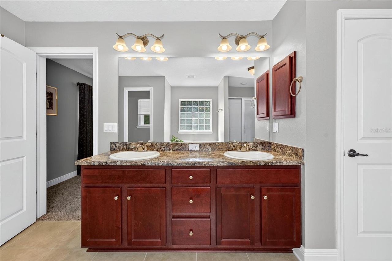 24114 PLYMOUTH HOLLOW CIRCLE — photo 17