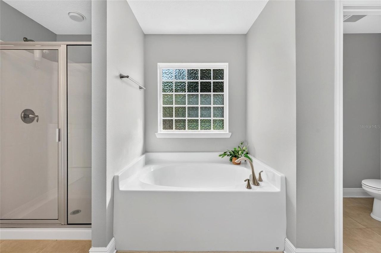 24114 PLYMOUTH HOLLOW CIRCLE — photo 19