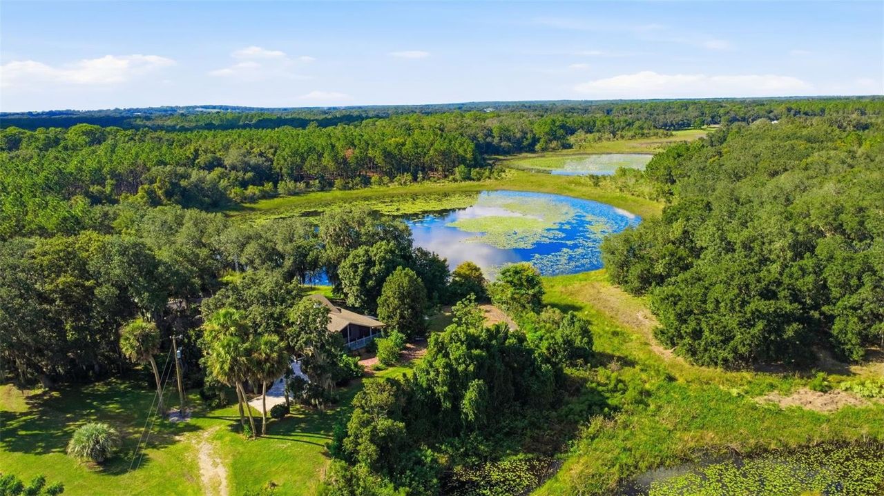 41520 CHARM LAKE DRIVE — photo 48
