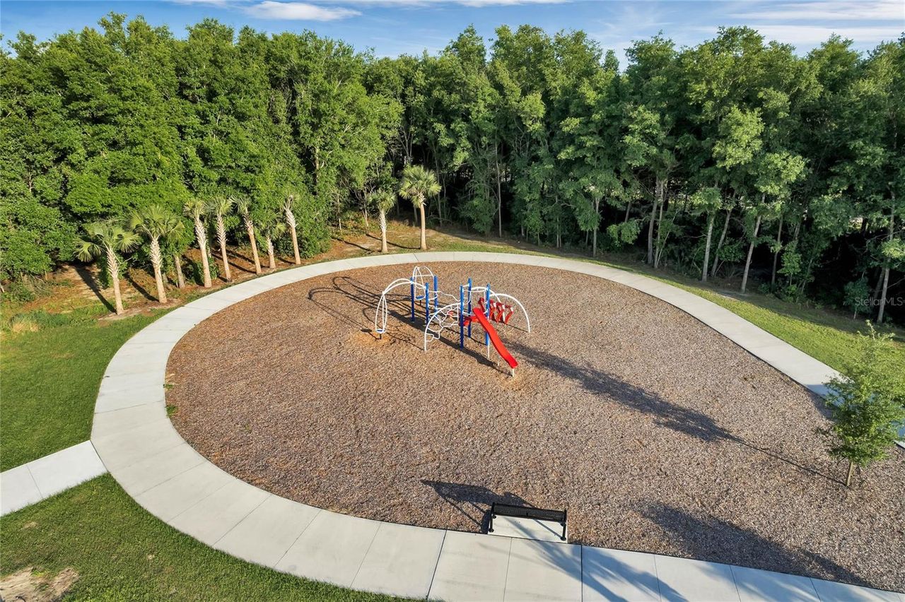 3139 BETHPAGE LOOP — photo 75