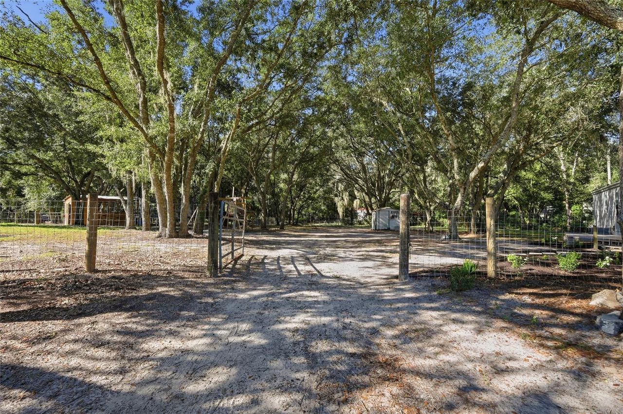 2138 LAKE ELLA ROAD — photo 6